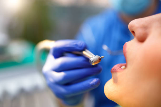  Grosse Pointe Farms, MI Holistic Dental Services Pros